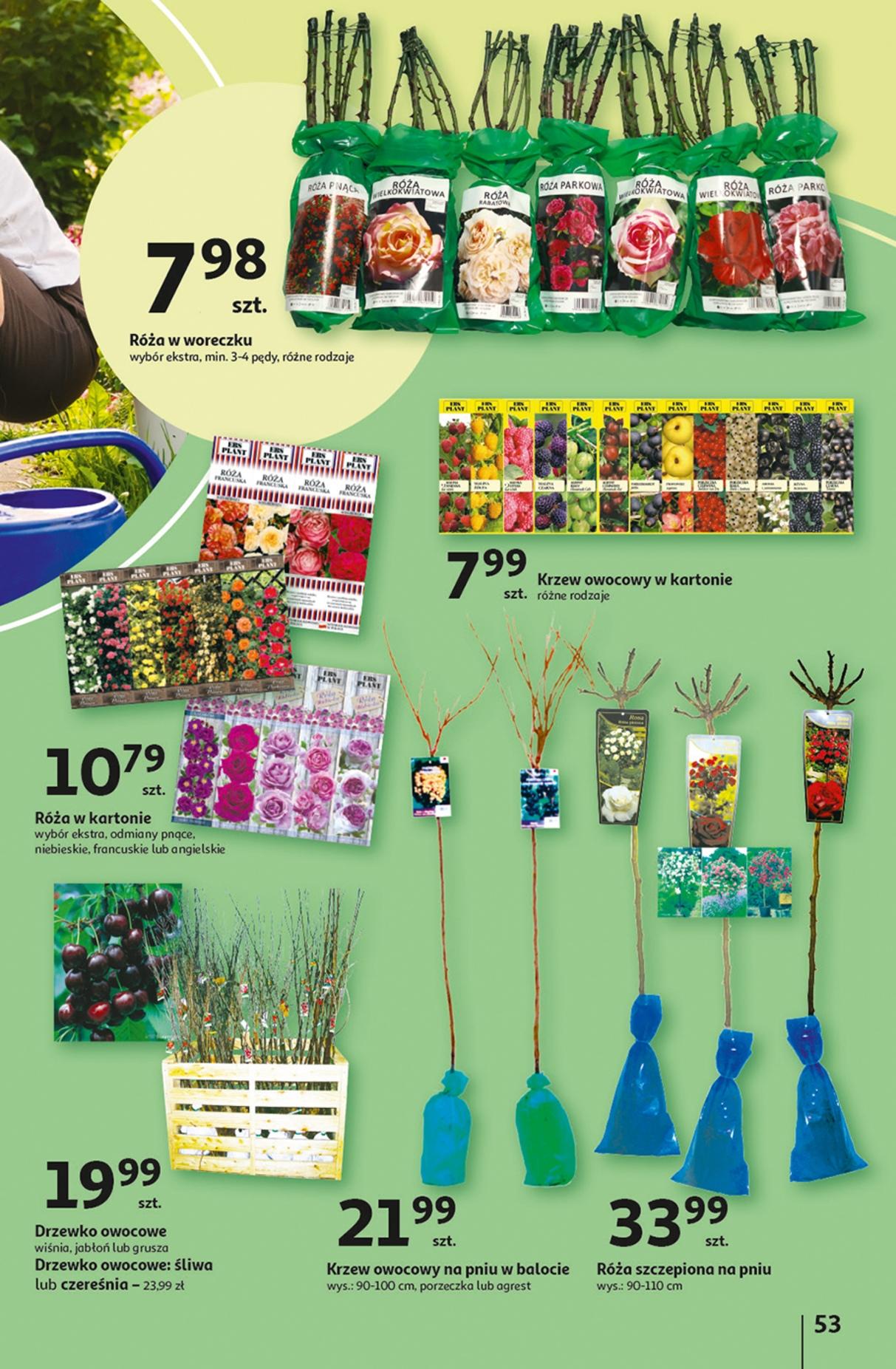 Gazetka promocyjna Auchan str. 53