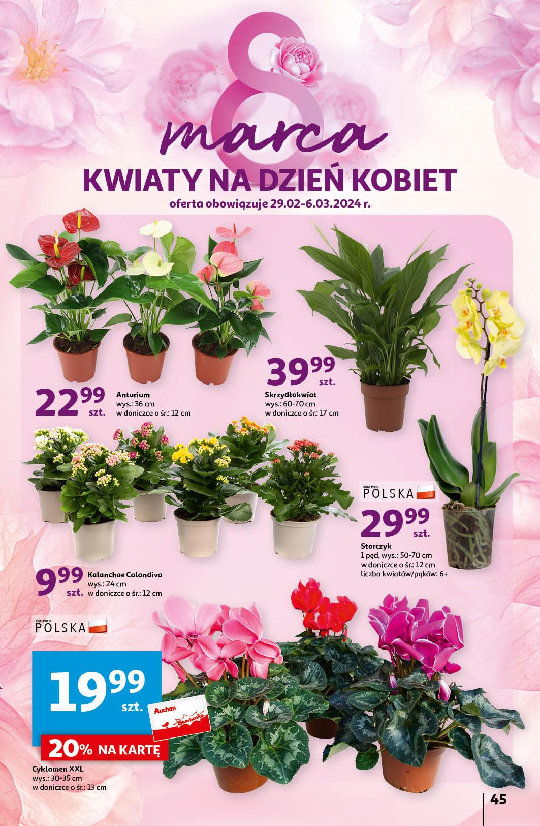 Gazetka promocyjna Auchan str. 45