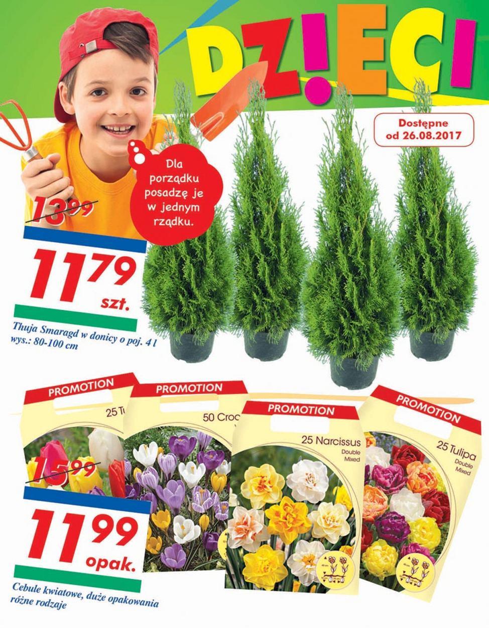 Gazetka promocyjna Auchan str. 34