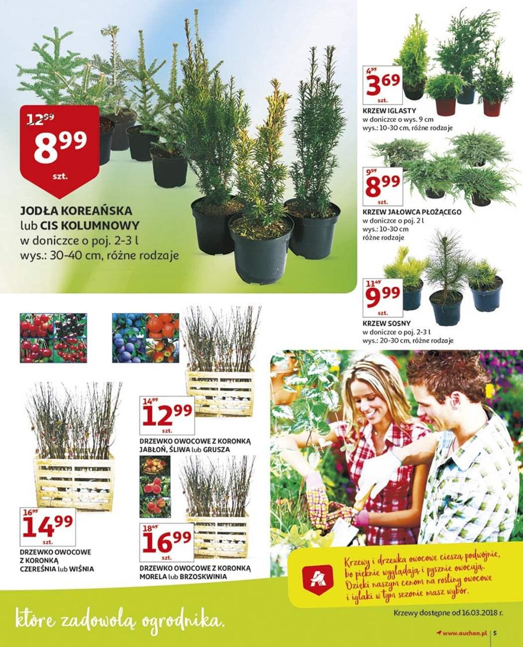 Gazetka promocyjna Auchan str. 5