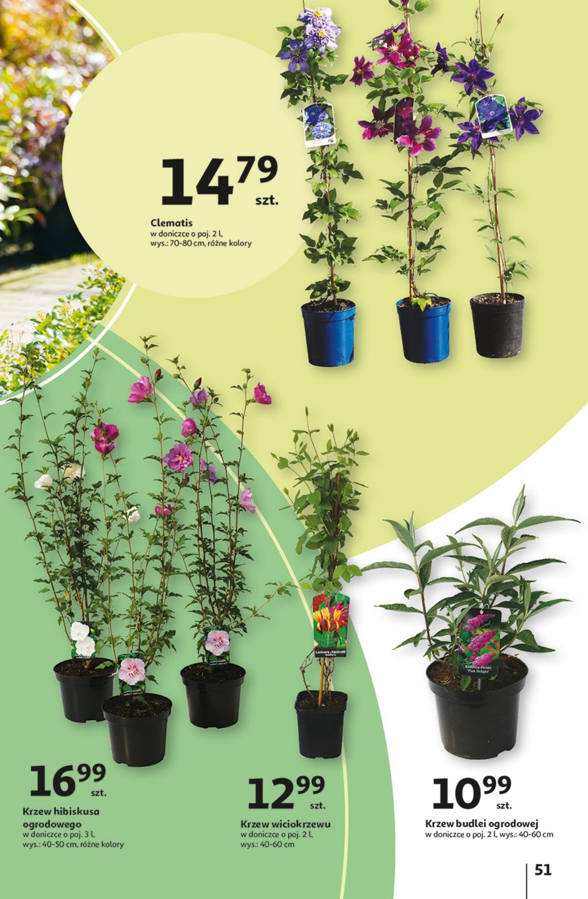 Gazetka promocyjna Auchan str. 51