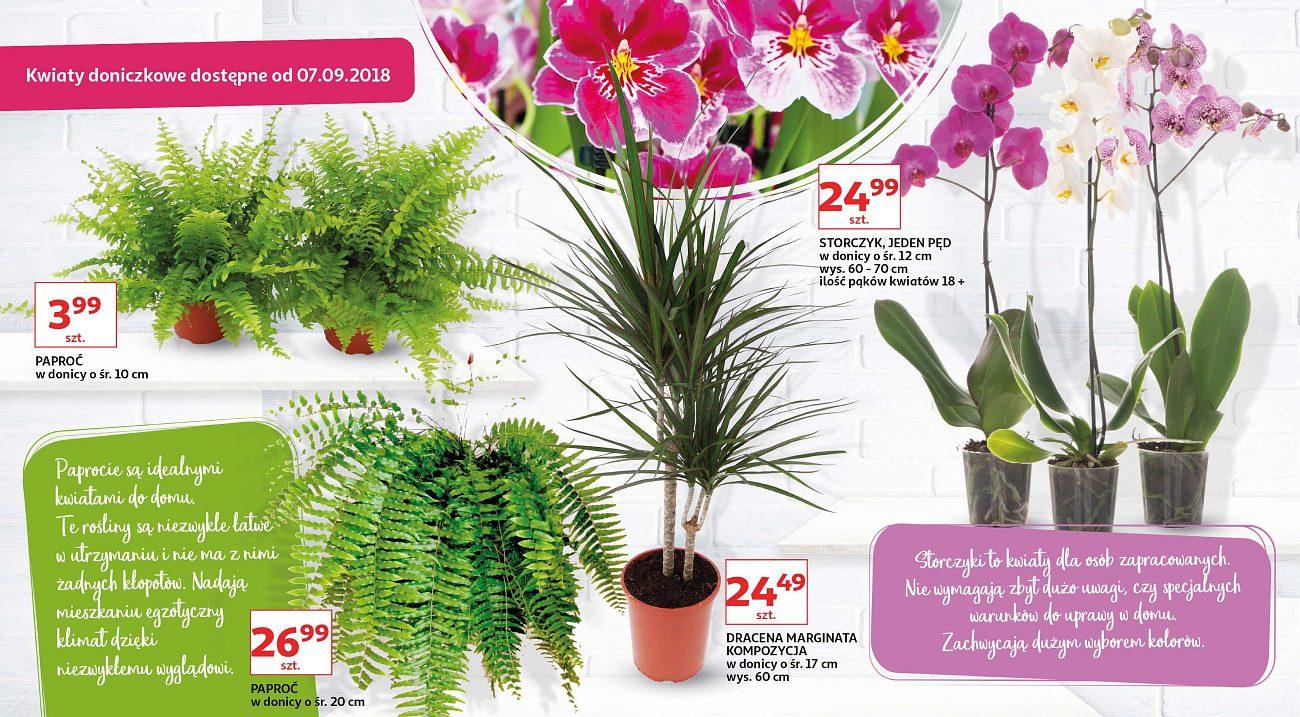 Gazetka promocyjna Auchan str. 9