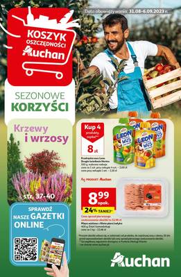 Gazetka Auchan