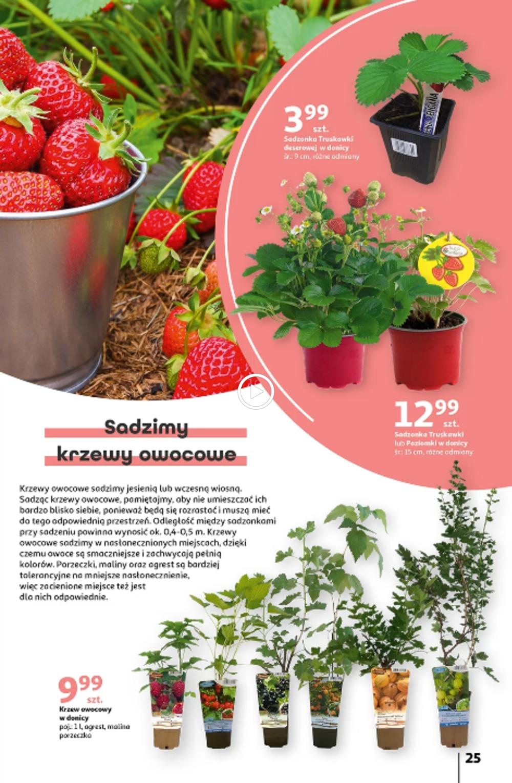 Gazetka promocyjna Auchan str. 25