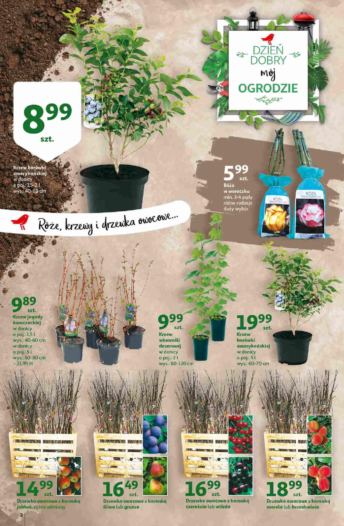 Gazetka promocyjna Auchan str. 2