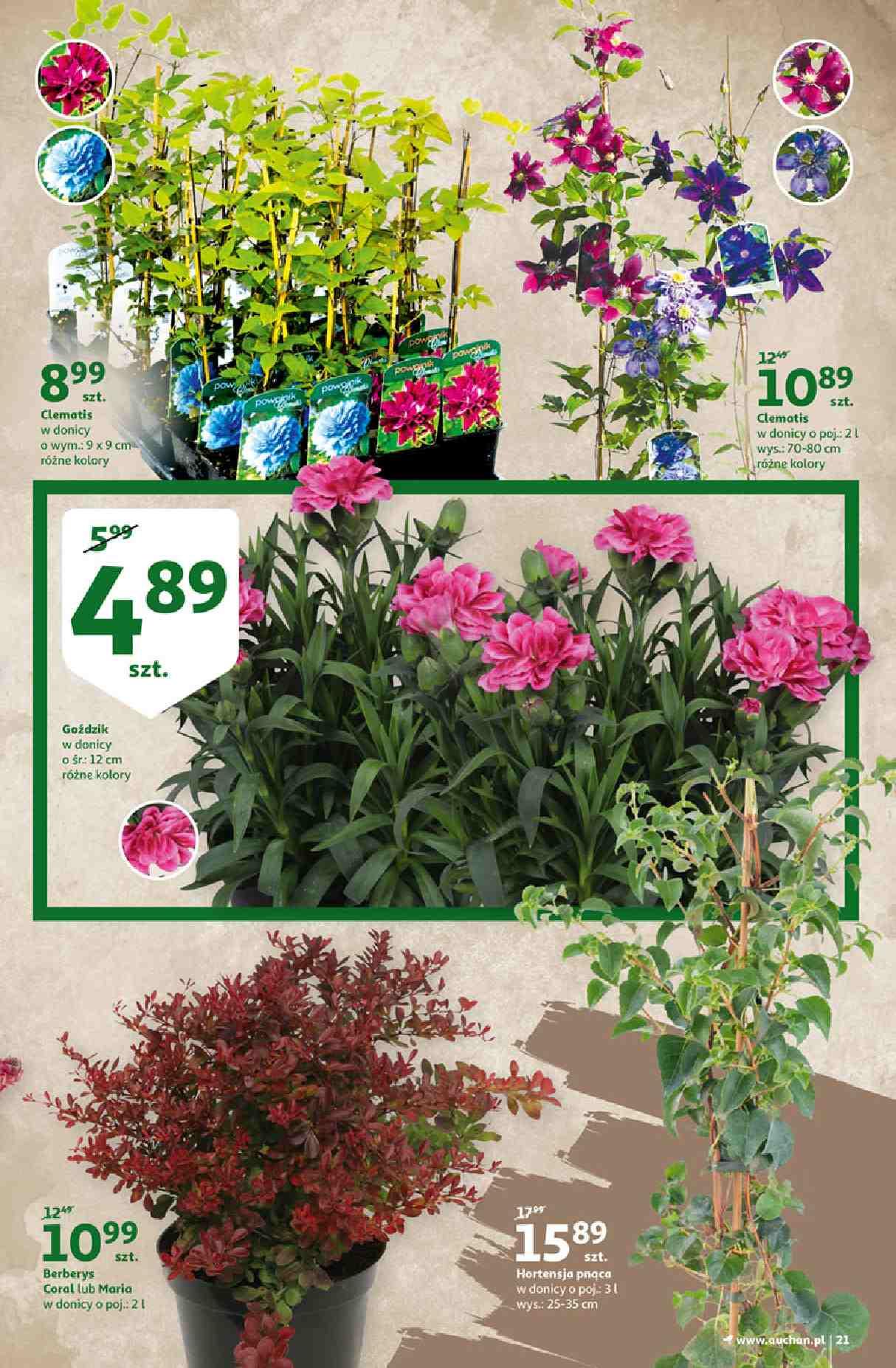 Gazetka promocyjna Auchan str. 21
