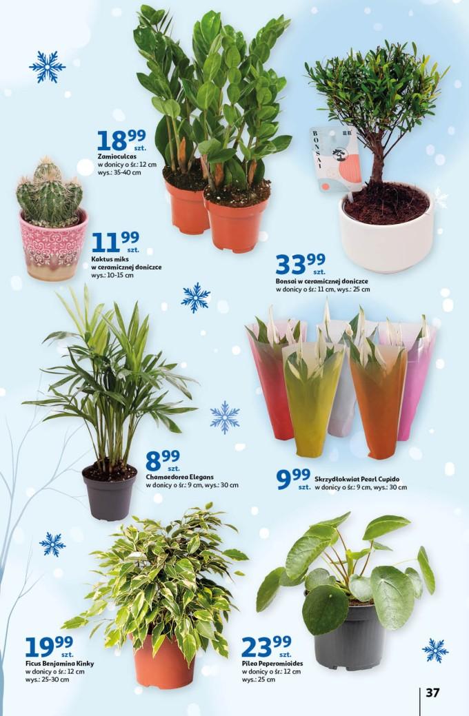 Gazetka promocyjna Auchan str. 37