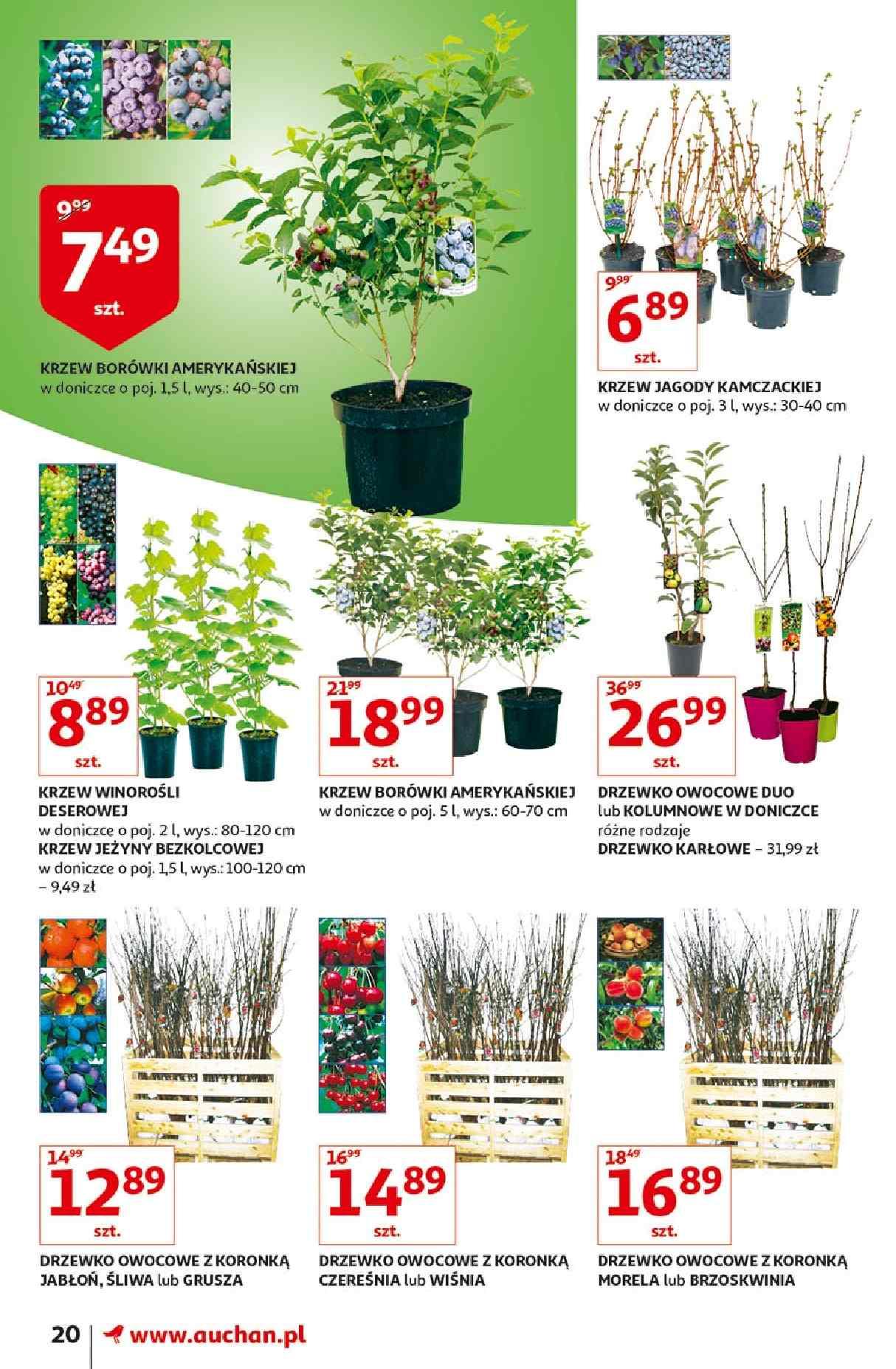 Gazetka promocyjna Auchan str. 20