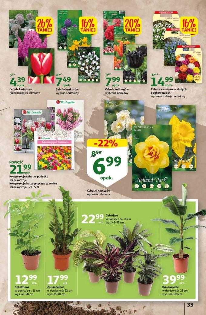 Gazetka promocyjna Auchan str. 33