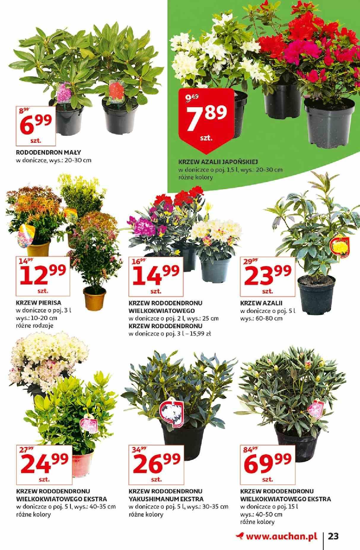 Gazetka promocyjna Auchan str. 23