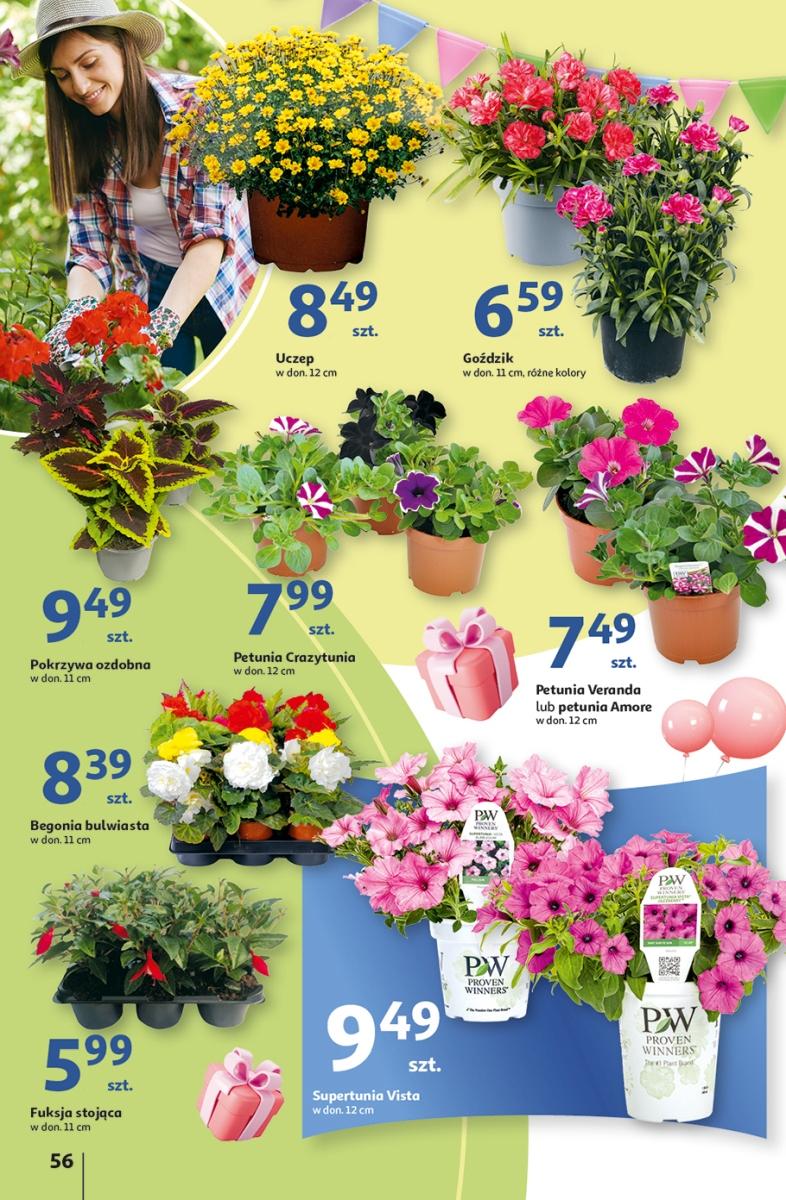 Gazetka promocyjna Auchan str. 56