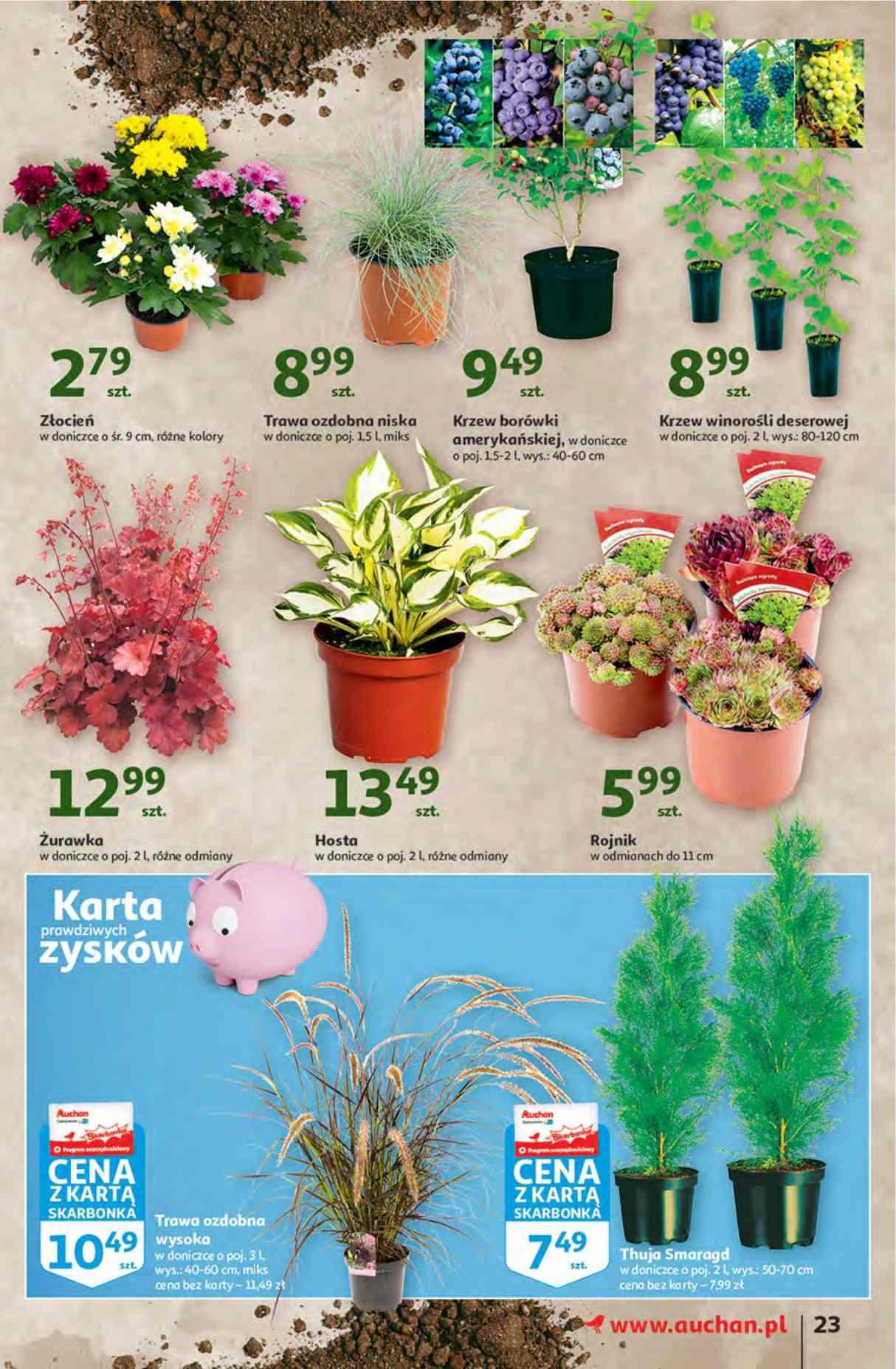 Gazetka promocyjna Auchan str. 23