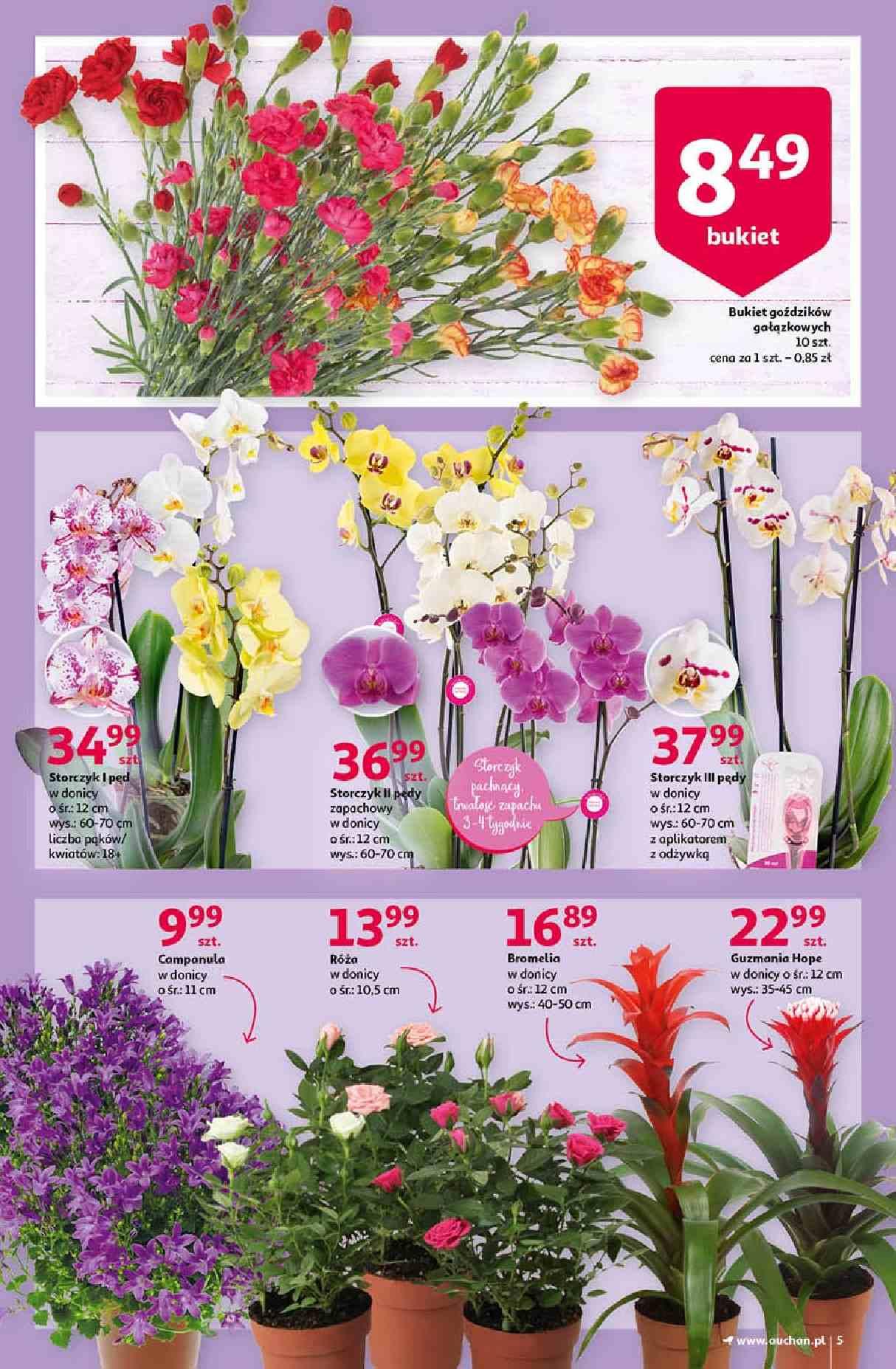 Gazetka promocyjna Auchan str. 5