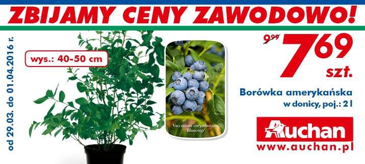 Gazetka promocyjna Auchan str. 2