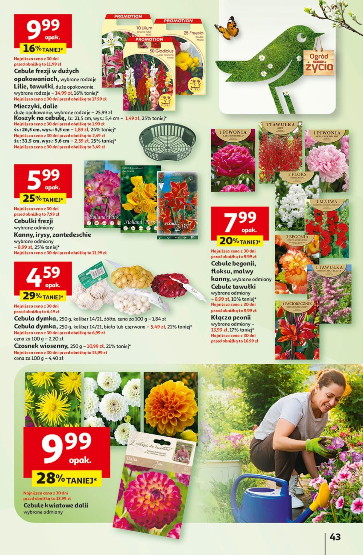 Gazetka promocyjna Auchan str. 51