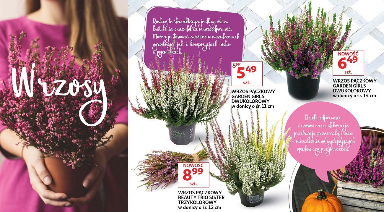 Gazetka promocyjna Auchan str. 2