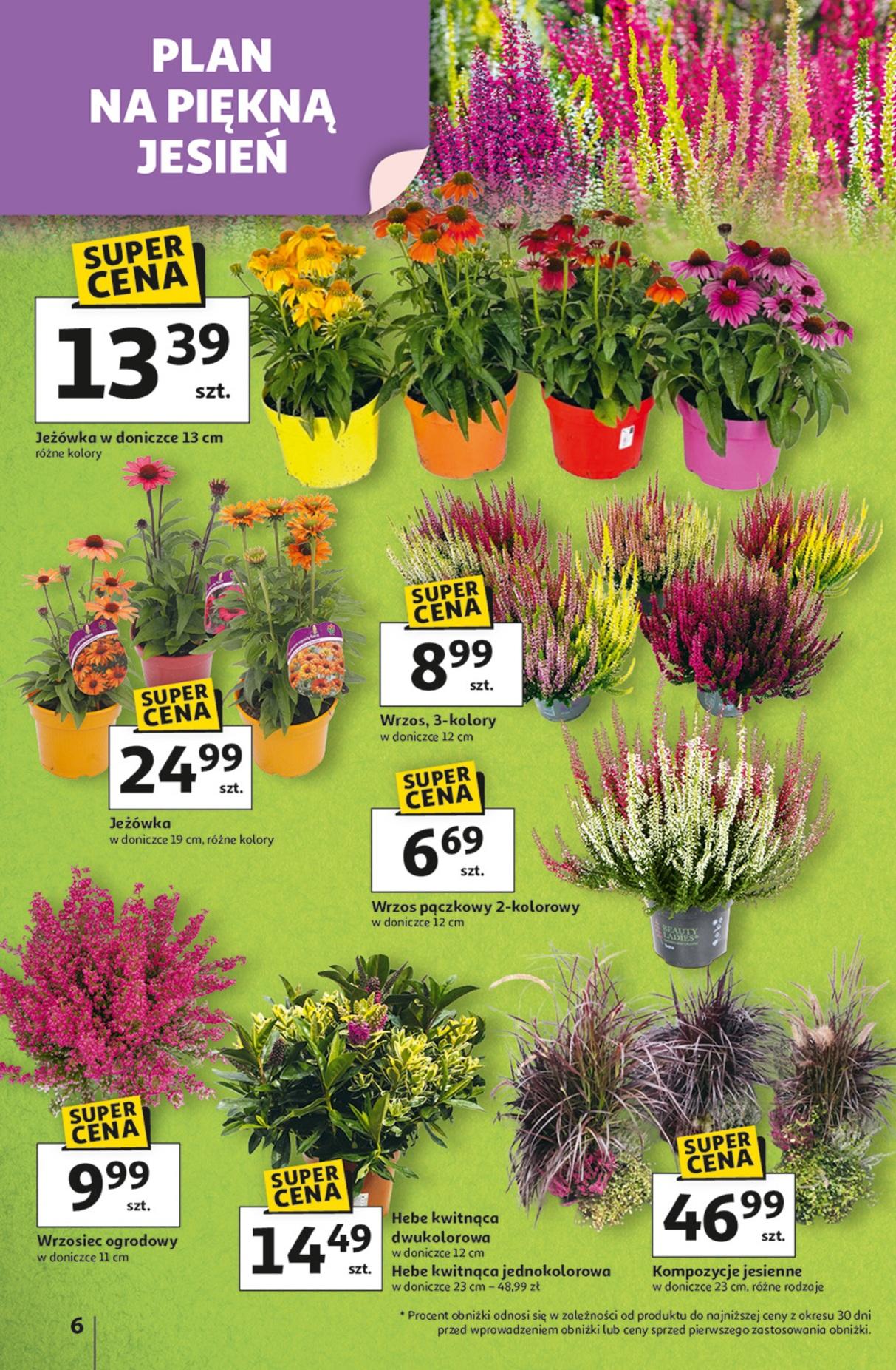 Gazetka promocyjna Auchan str. 6