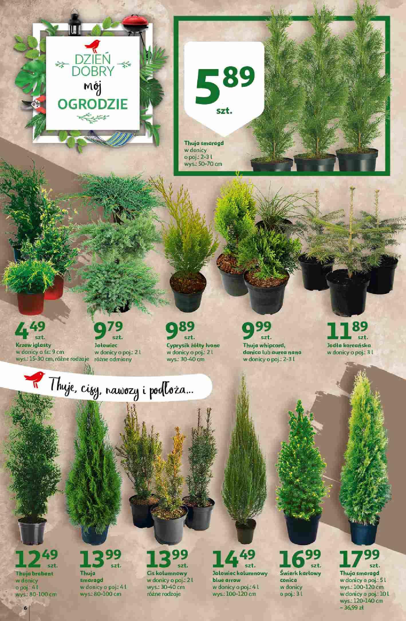 Gazetka promocyjna Auchan str. 6