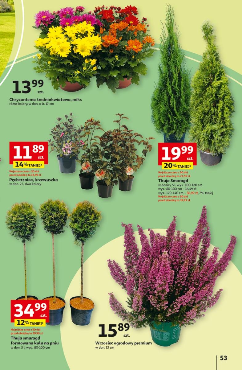 Gazetka promocyjna Auchan str. 61