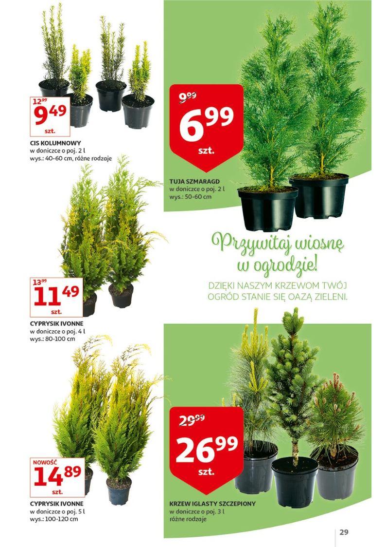 Gazetka promocyjna Auchan str. 29