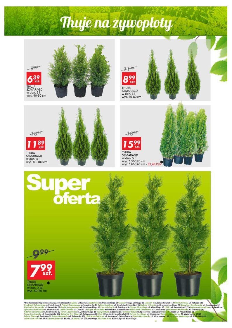 Gazetka promocyjna Auchan str. 13