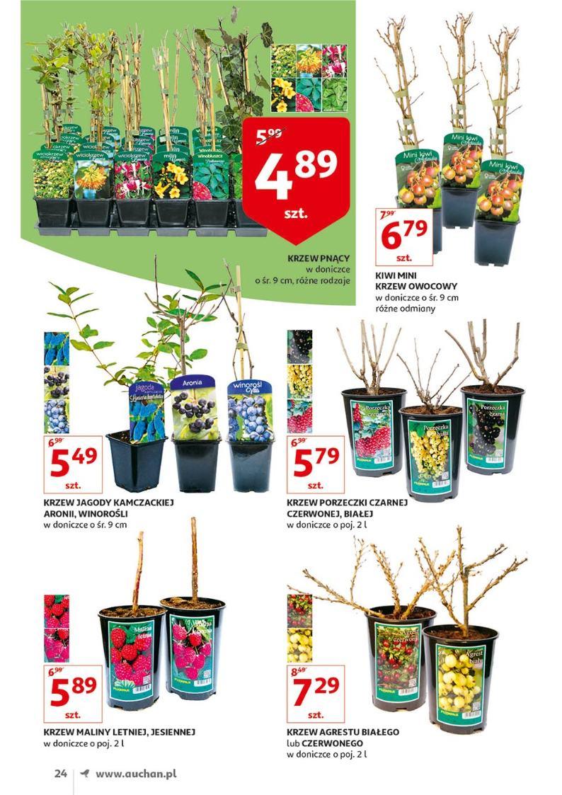 Gazetka promocyjna Auchan str. 24