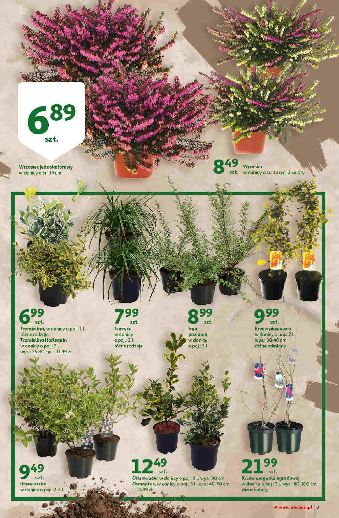 Gazetka promocyjna Auchan str. 3