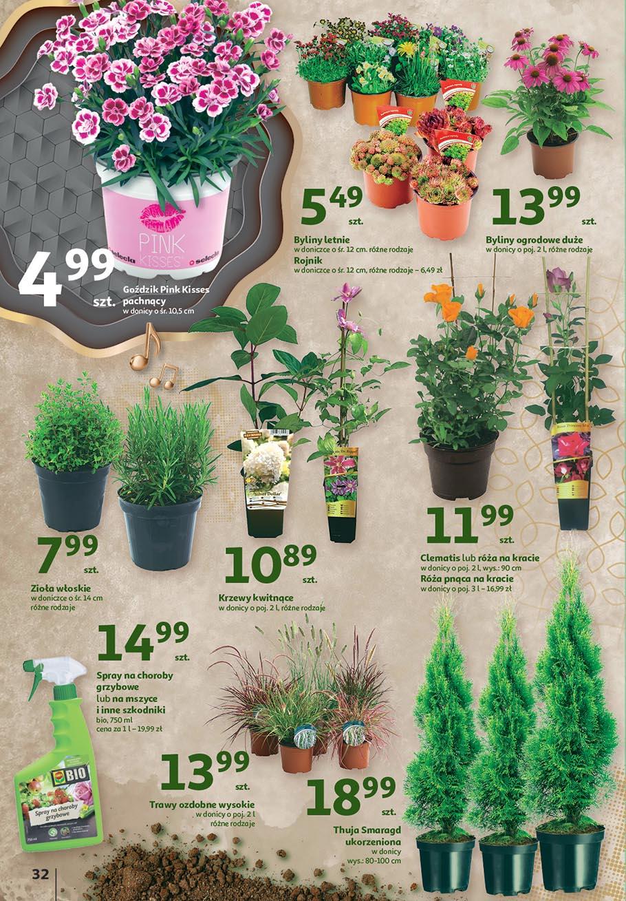 Gazetka promocyjna Auchan str. 32