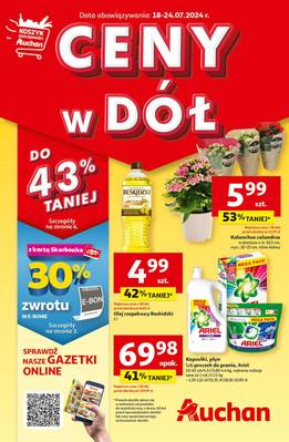 Gazetka Auchan