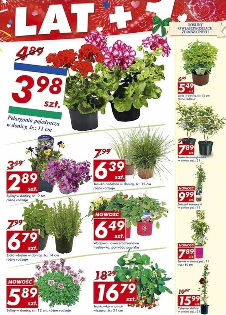 Gazetka promocyjna Auchan str. 25