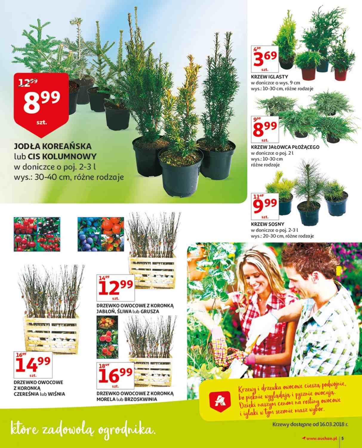 Gazetka promocyjna Auchan str. 5