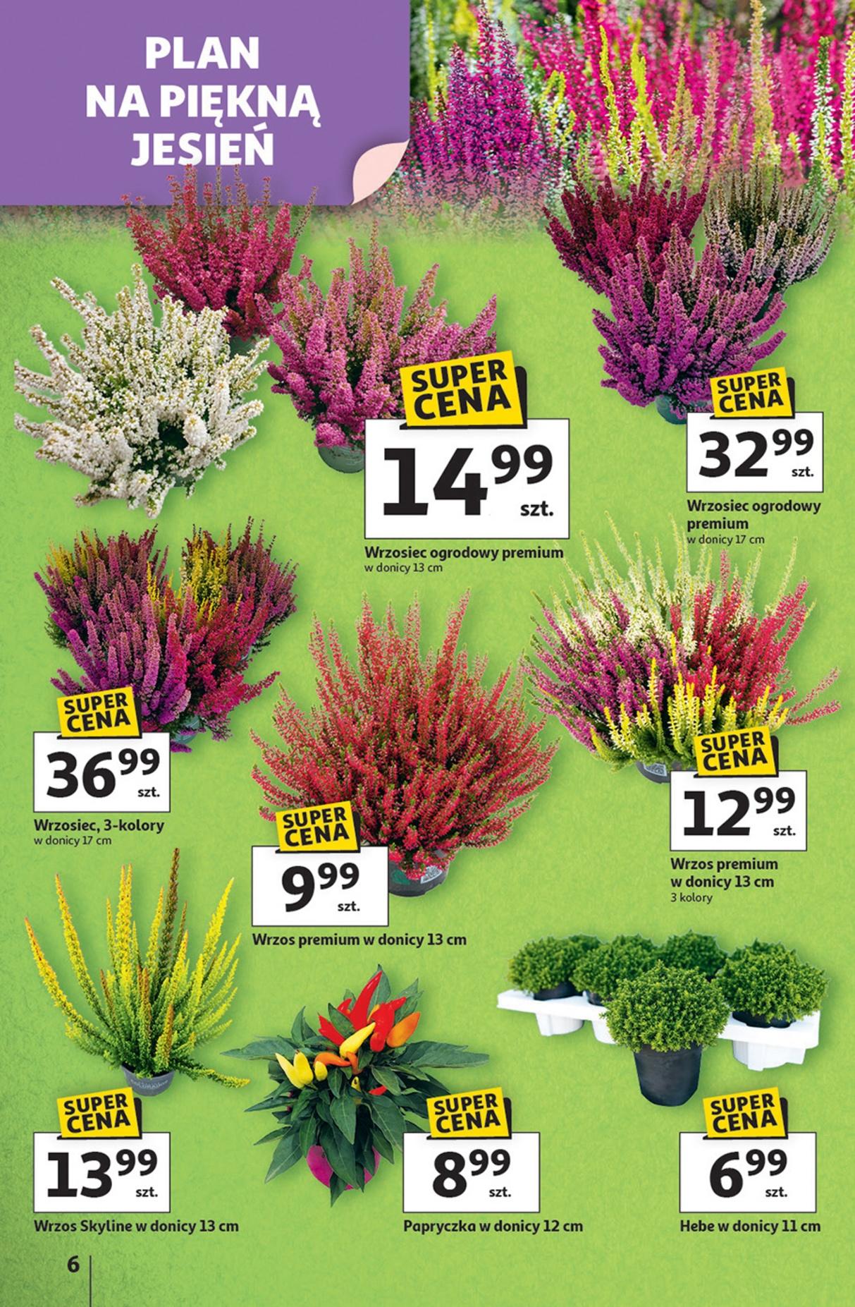 Gazetka promocyjna Auchan str. 6