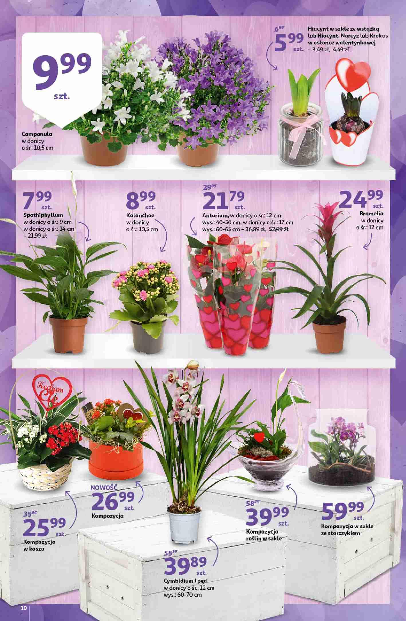 Gazetka promocyjna Auchan str. 10