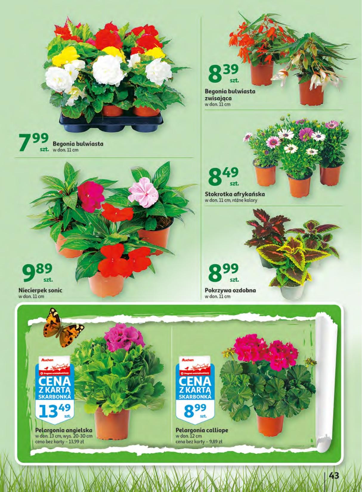 Gazetka promocyjna Auchan str. 43