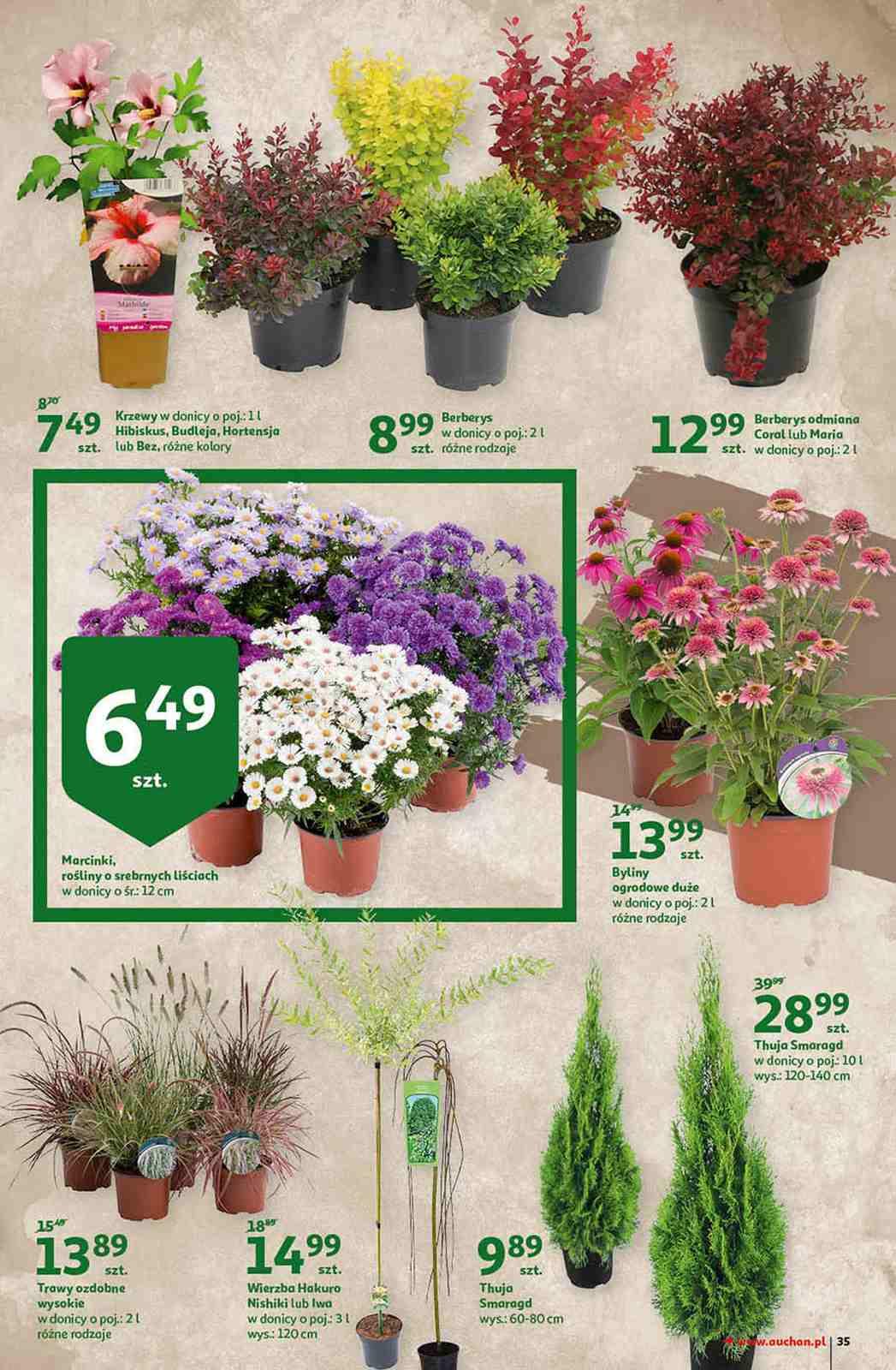 Gazetka promocyjna Auchan str. 35