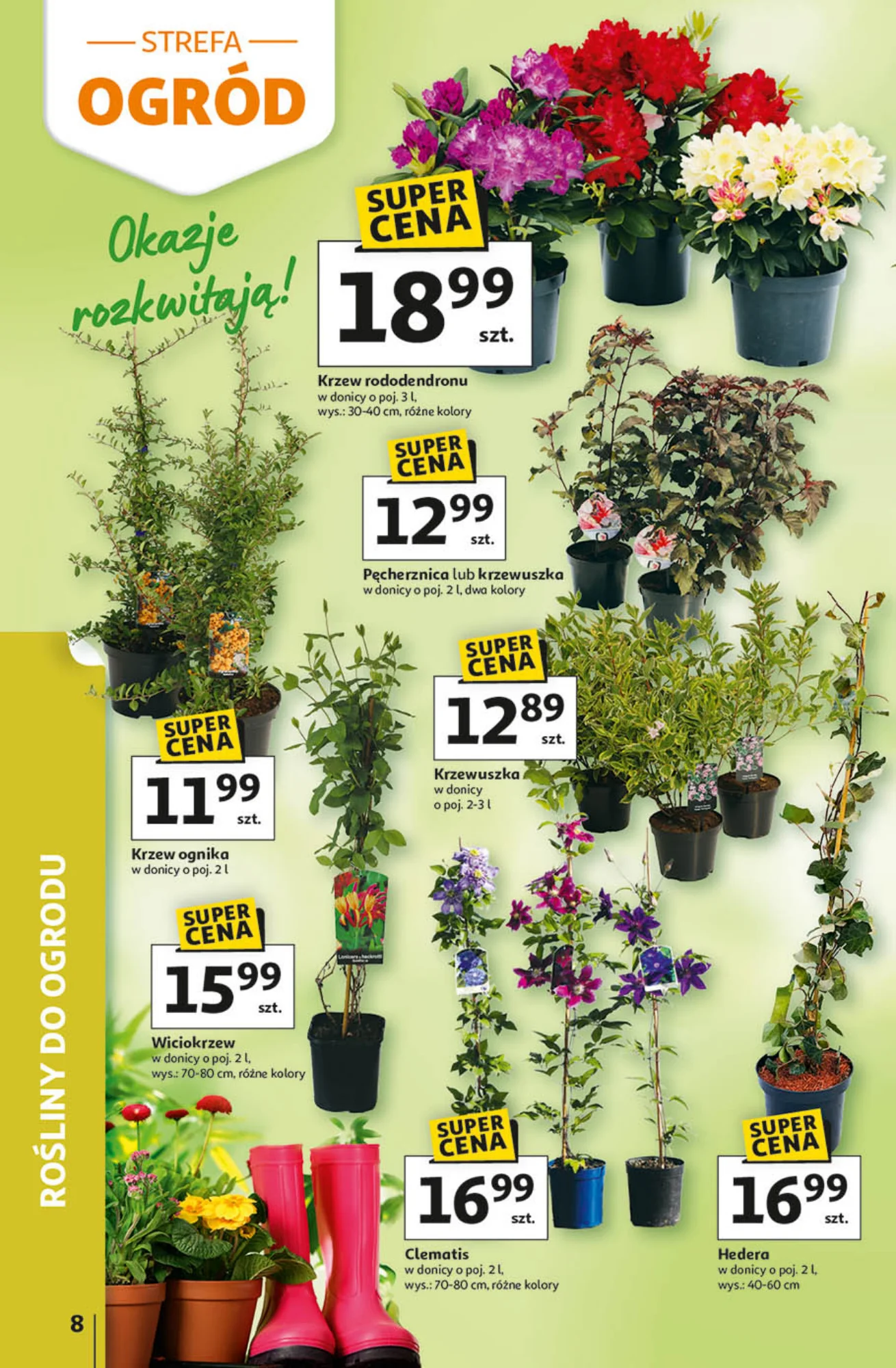 Gazetka promocyjna Auchan str. 8