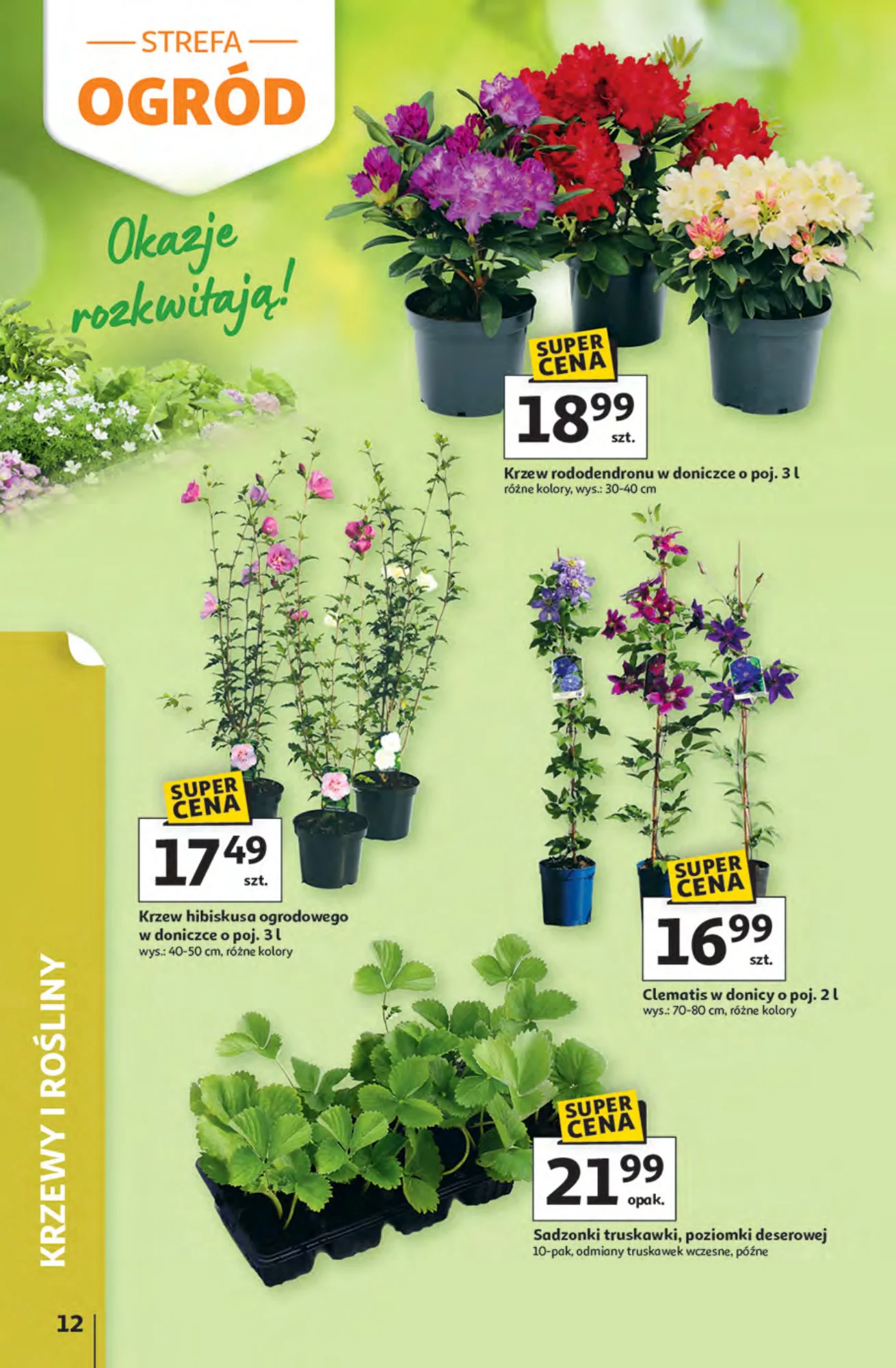 Gazetka promocyjna Auchan str. 12