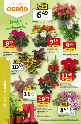 Gazetka Auchan
