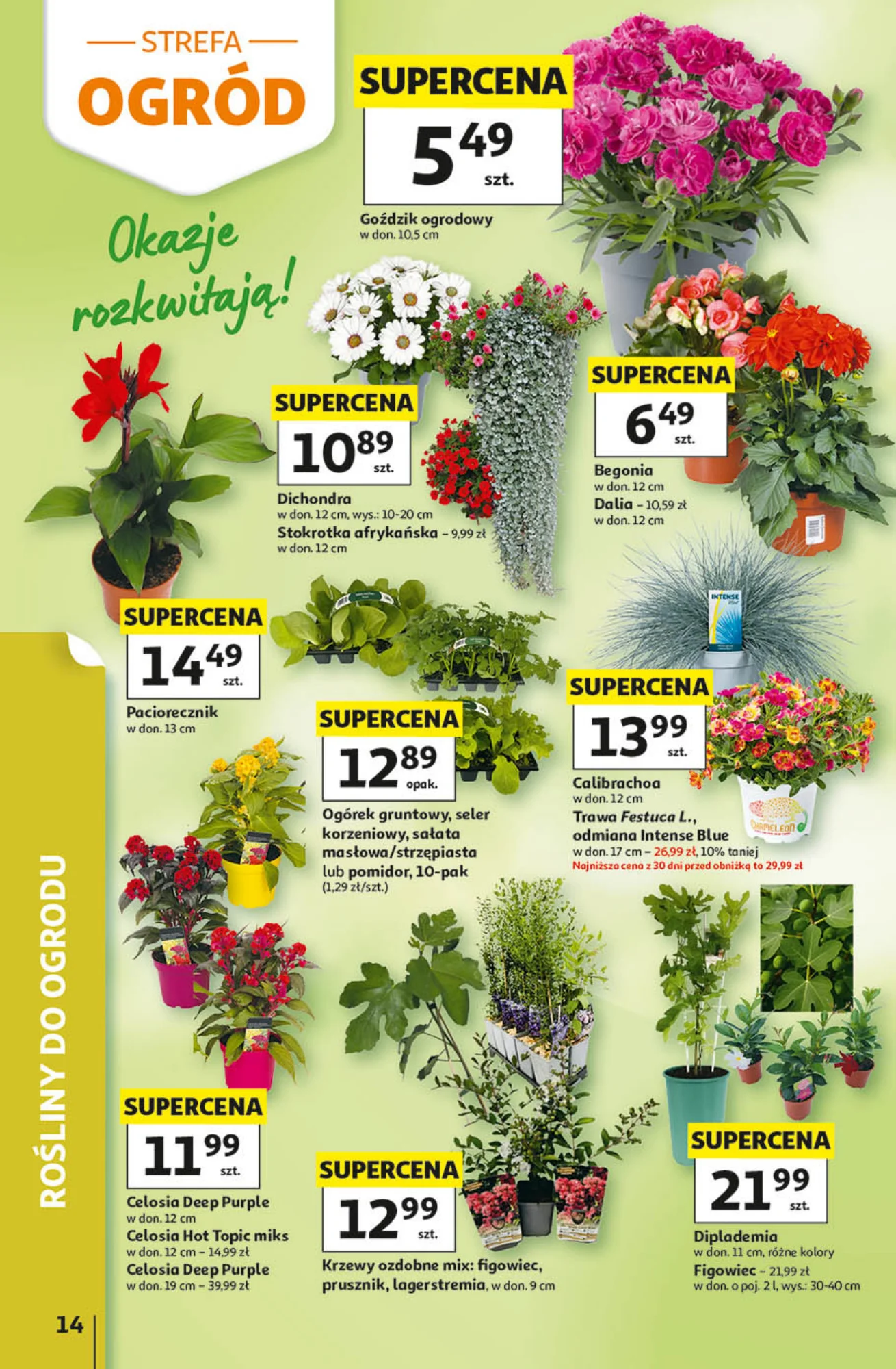 Gazetka promocyjna Auchan str. 14