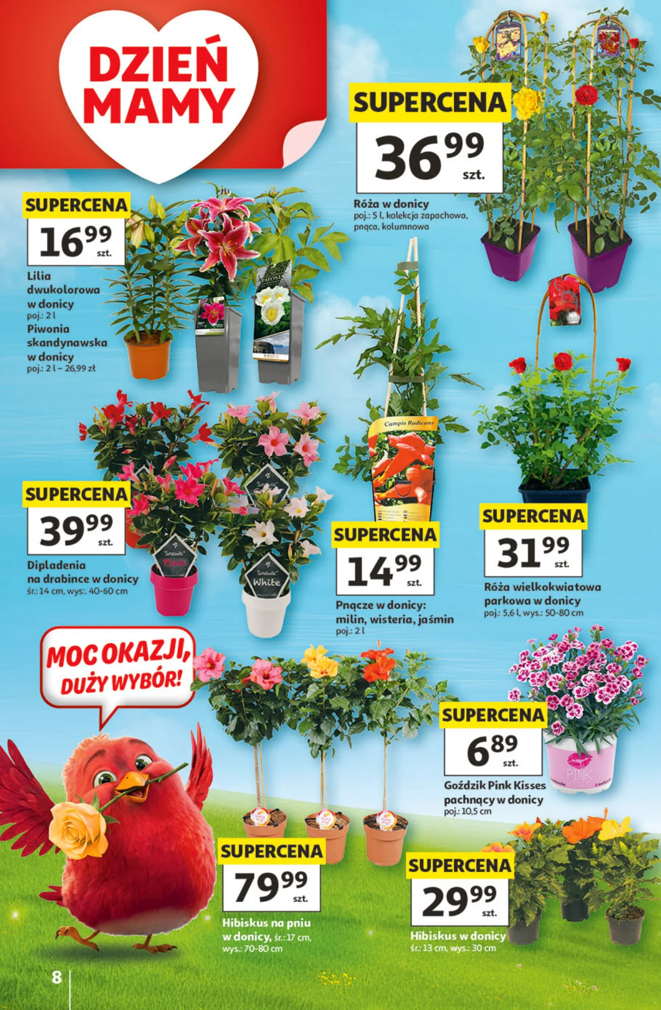 Gazetka promocyjna Auchan str. 8
