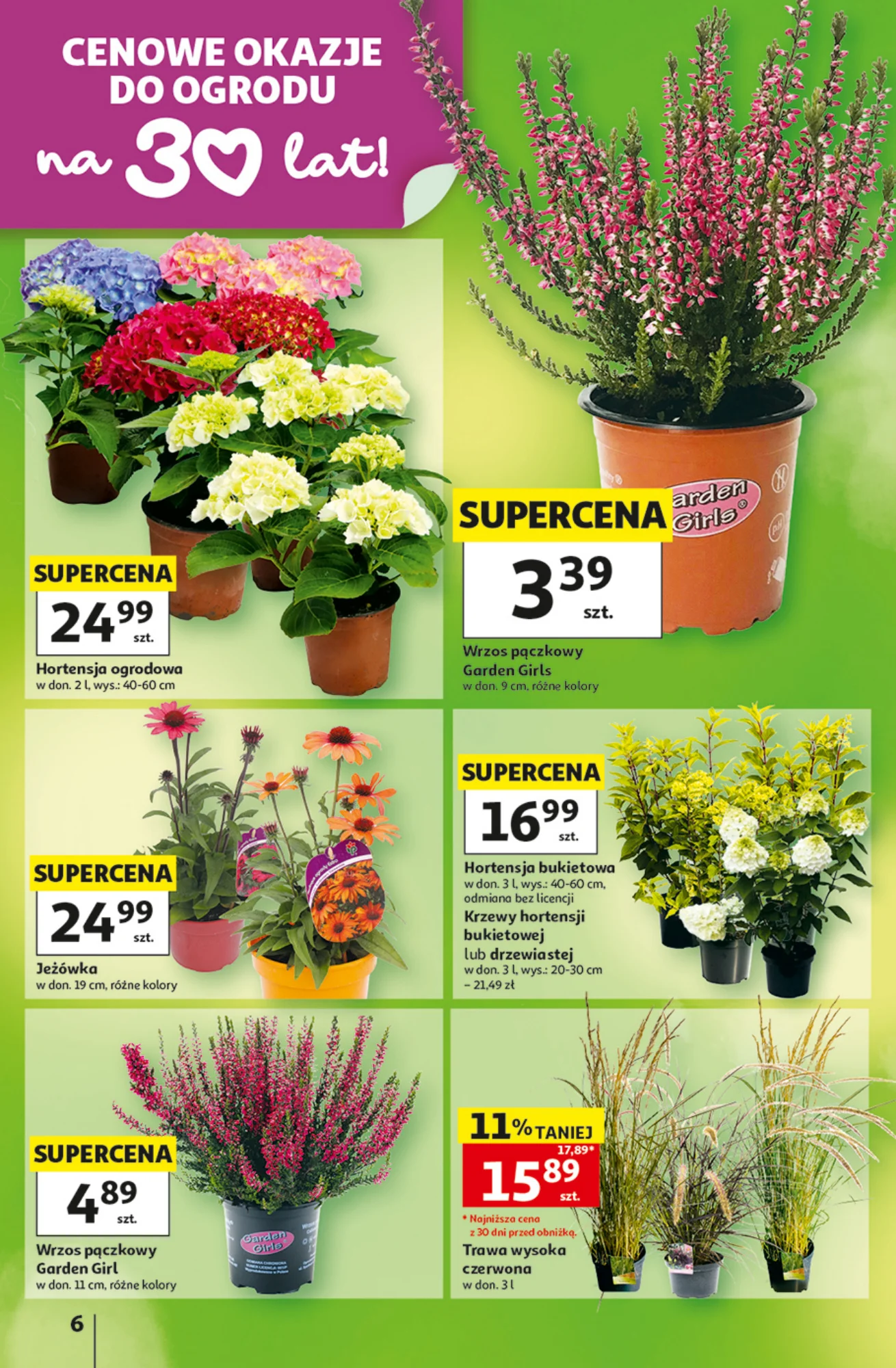 Gazetka promocyjna Auchan str. 6