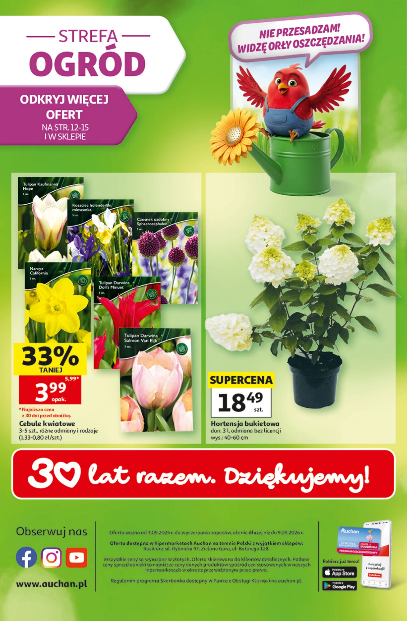 Gazetka promocyjna Auchan str. 49