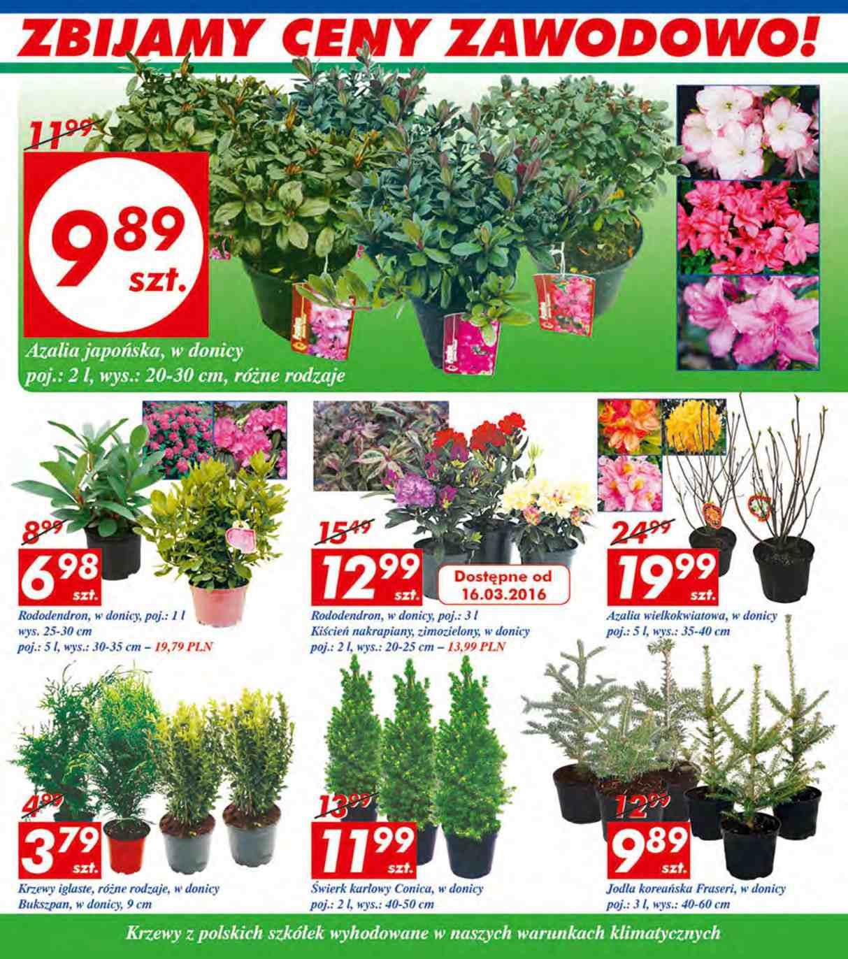 Gazetka promocyjna Auchan str. 4