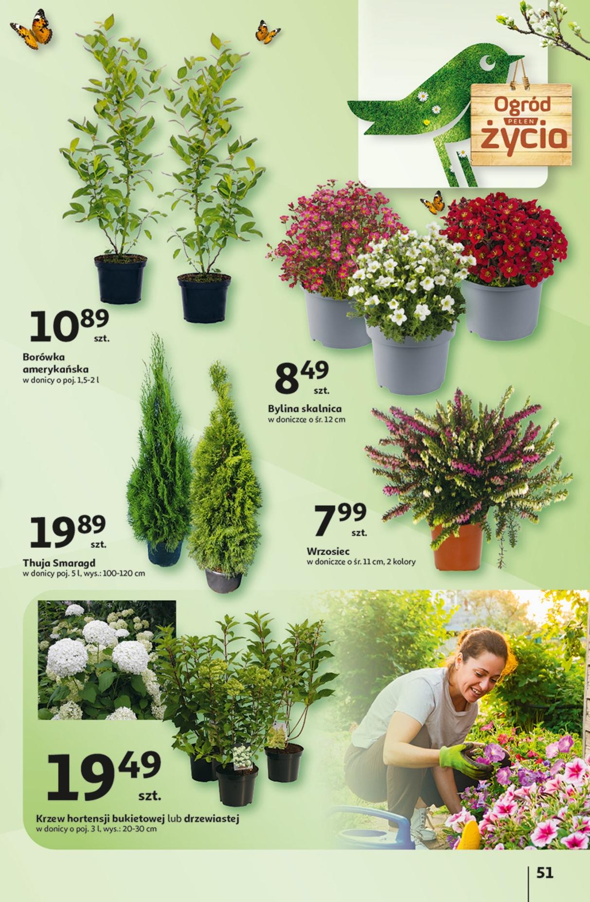 Gazetka promocyjna Auchan str. 55