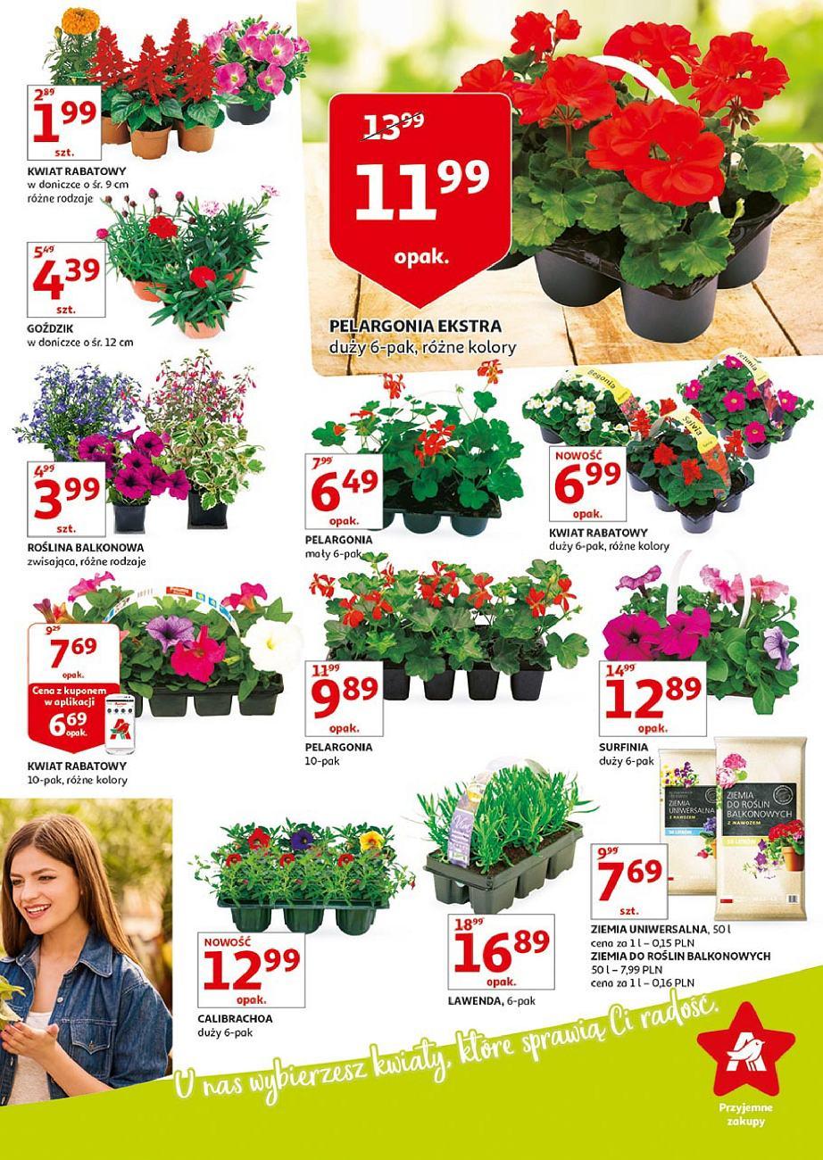Gazetka promocyjna Auchan str. 5