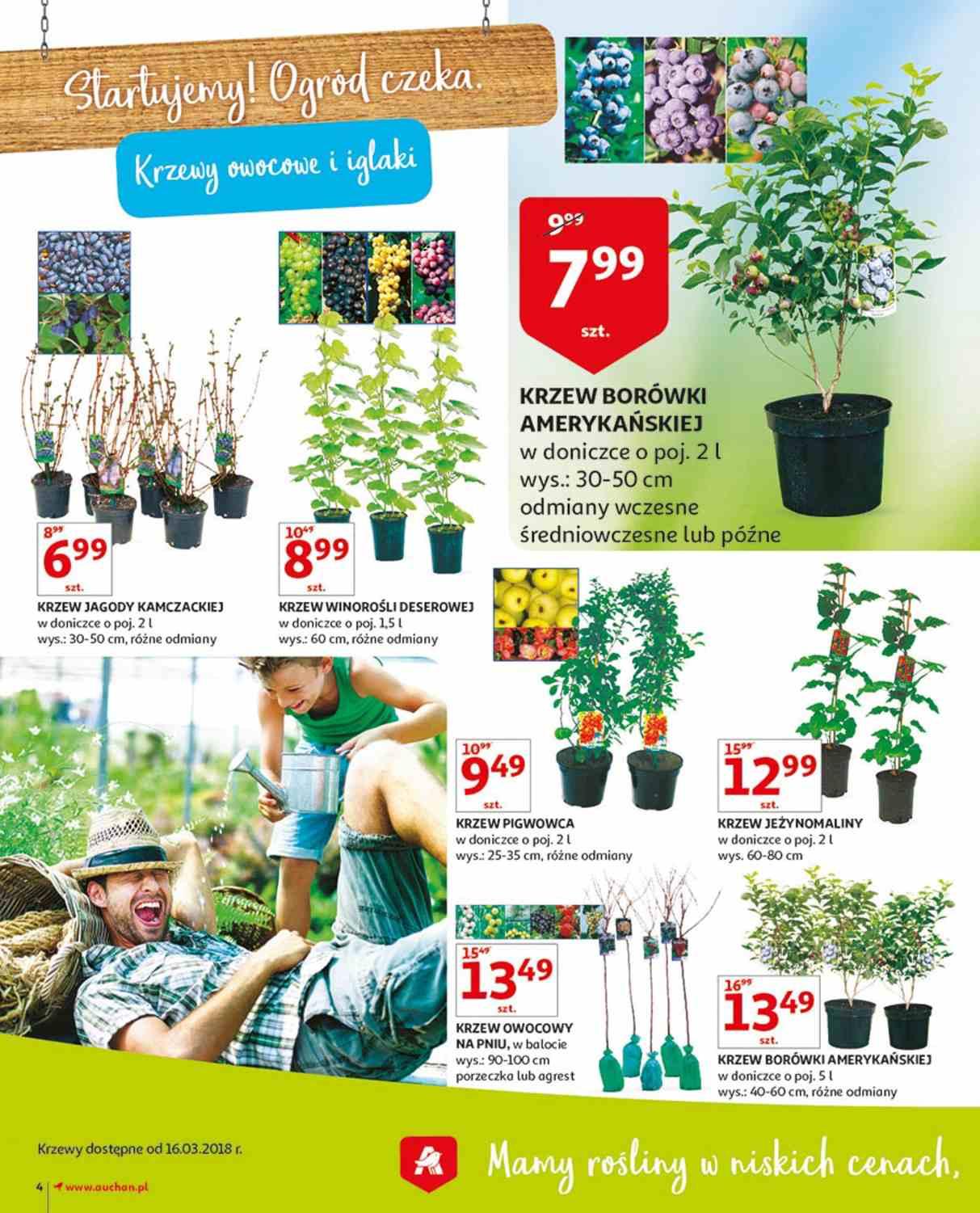 Gazetka promocyjna Auchan str. 4