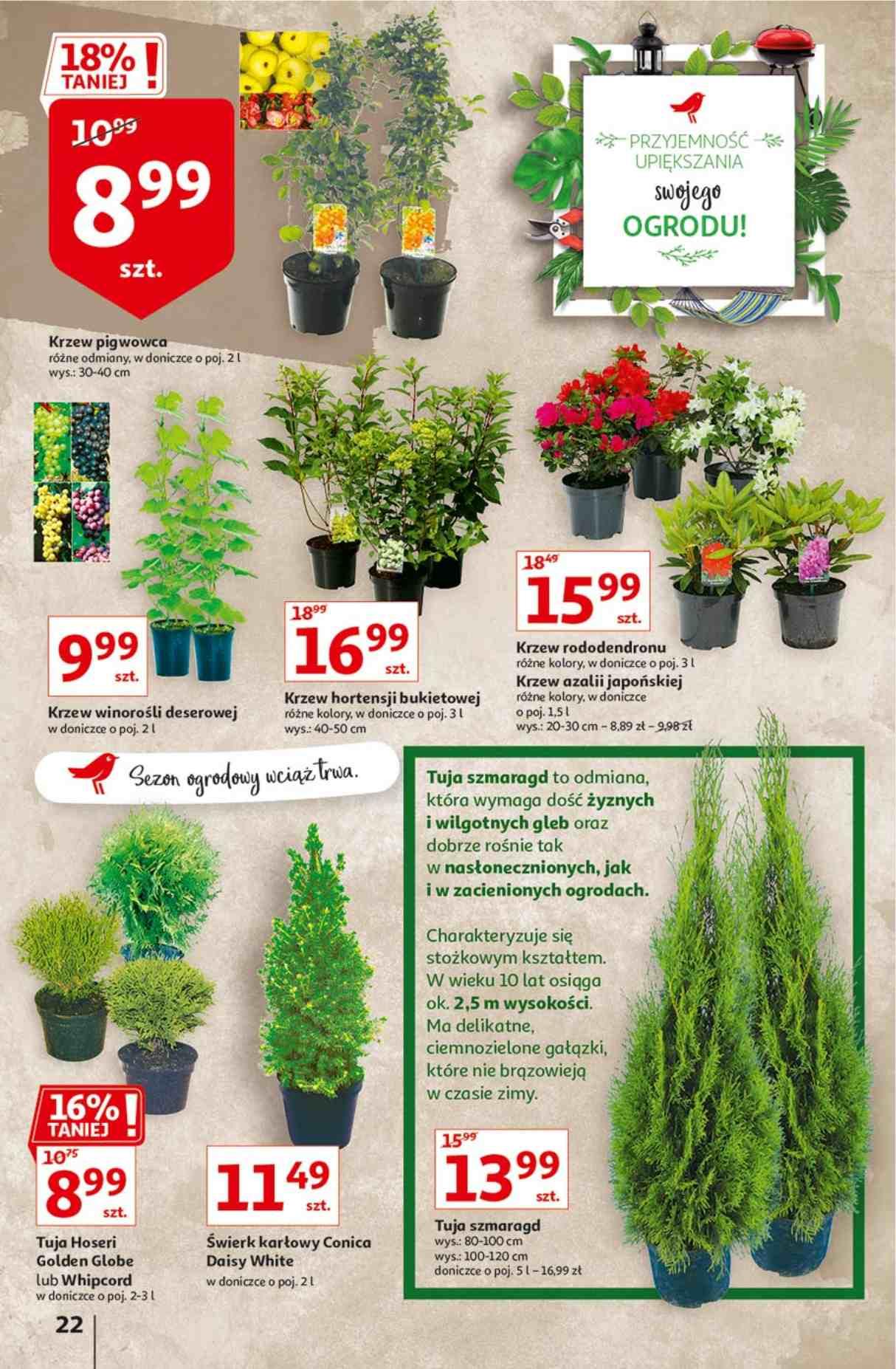 Gazetka promocyjna Auchan str. 22