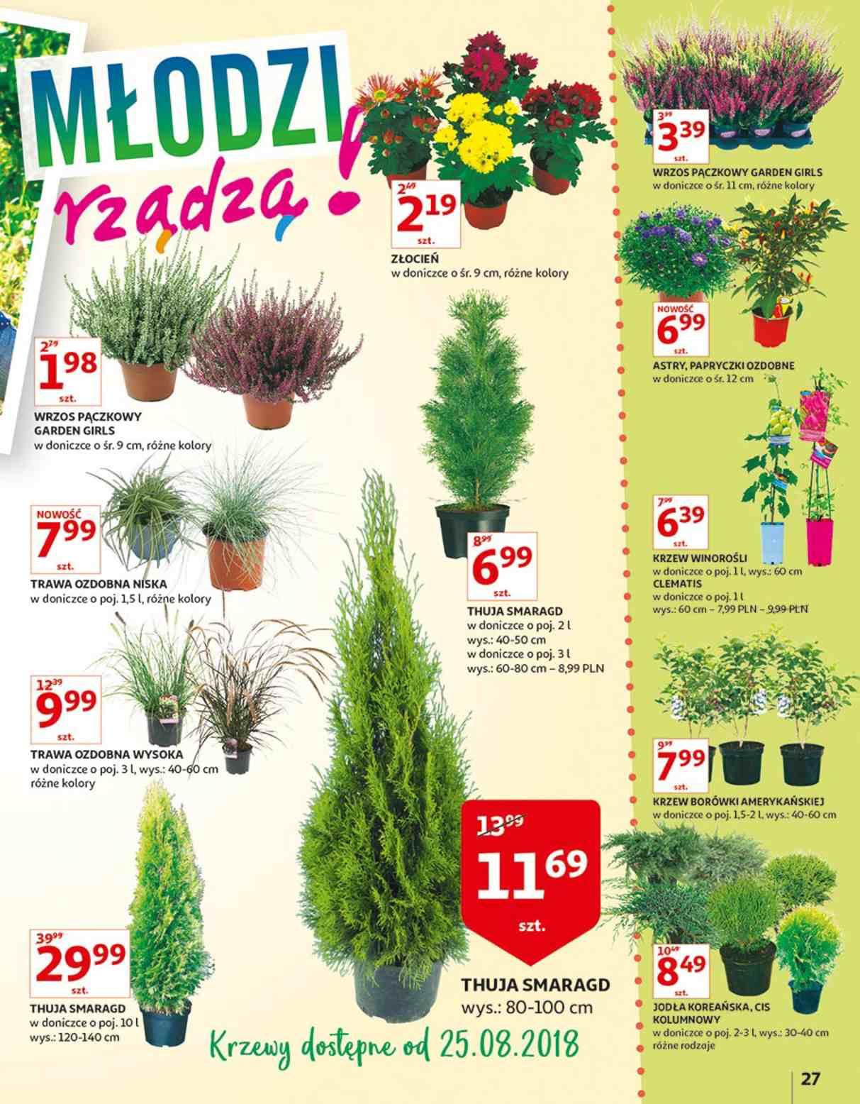 Gazetka promocyjna Auchan str. 27