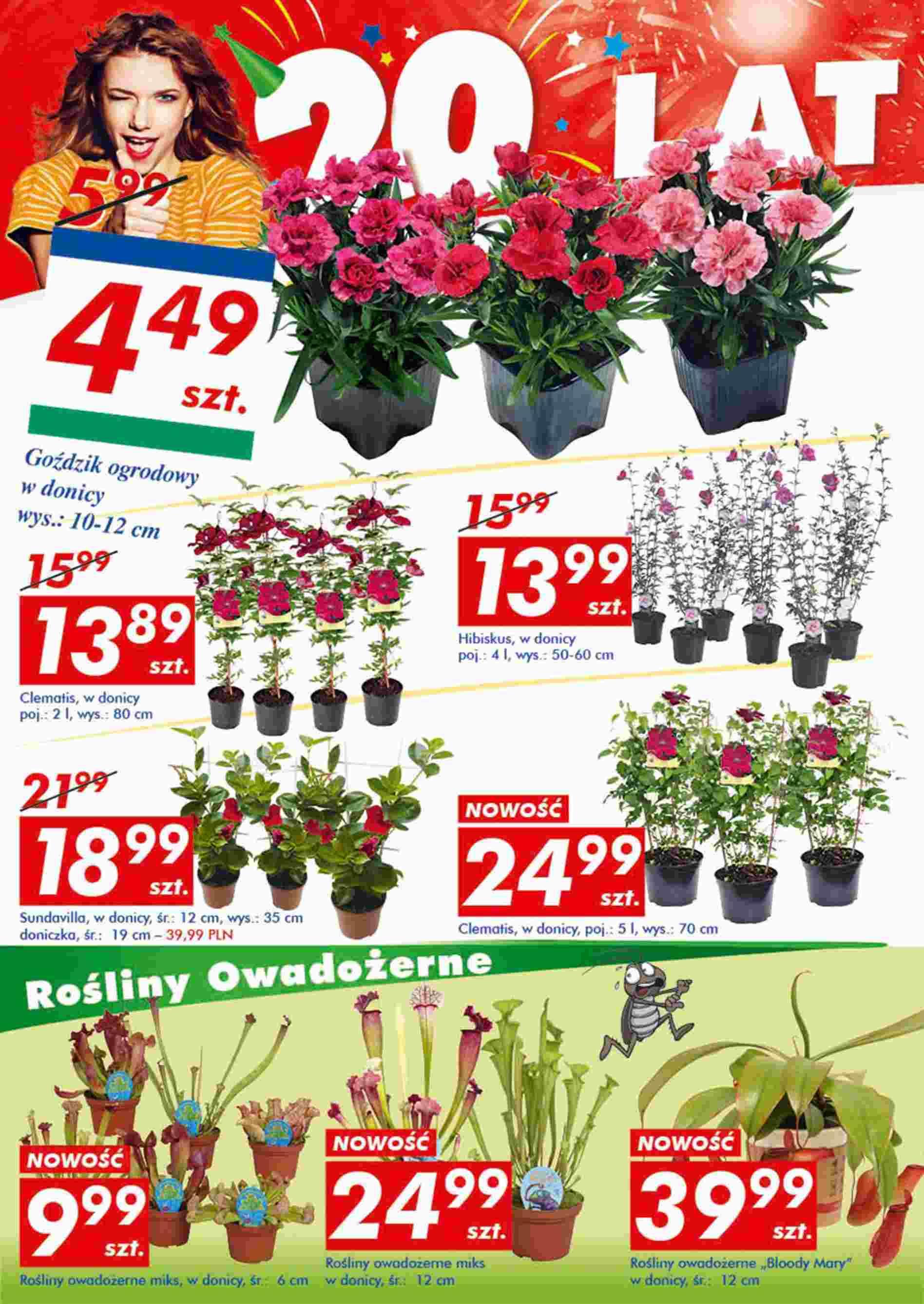 Gazetka promocyjna Auchan str. 18