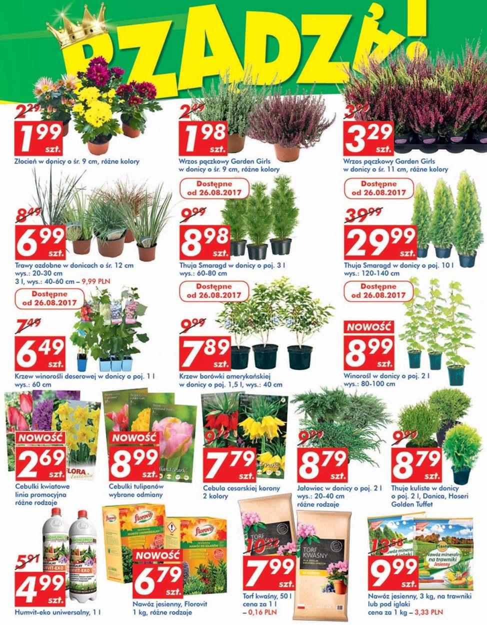 Gazetka promocyjna Auchan str. 35